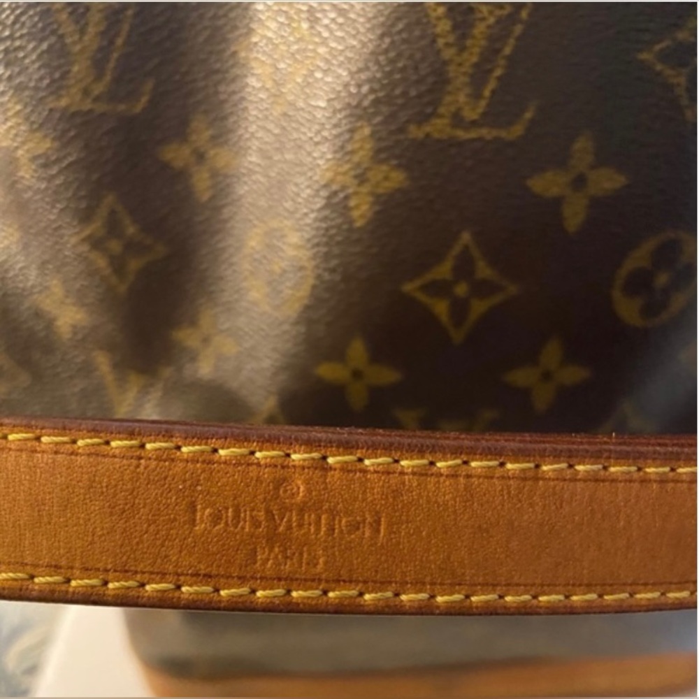 Luis Vuitton Brown Coated Bucket Bag - Picture 9 of 10